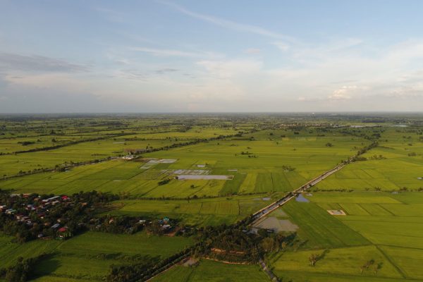 Featured Properties